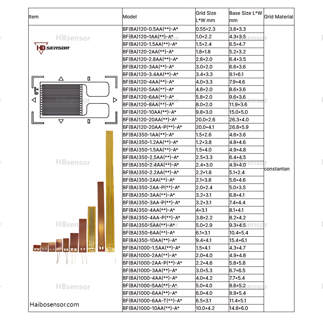 Strain Gauge Size 