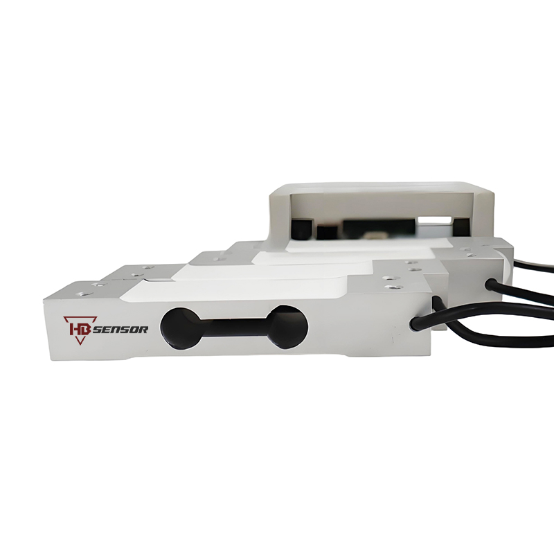 Custom Load Cell (1)