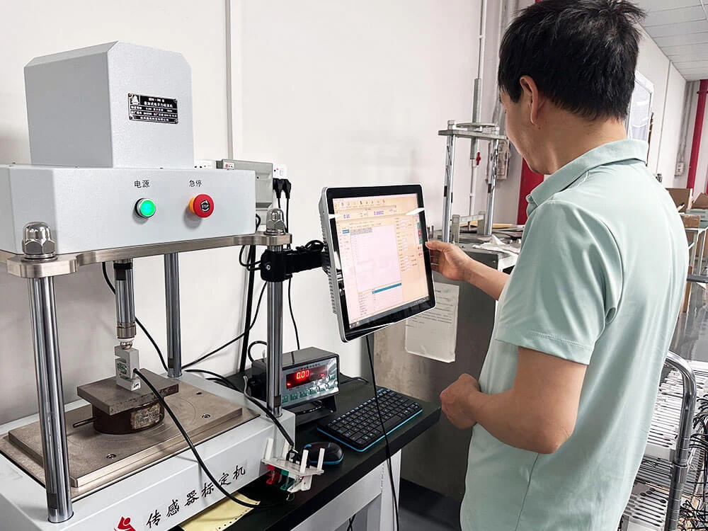 100g Load Cell Resolution